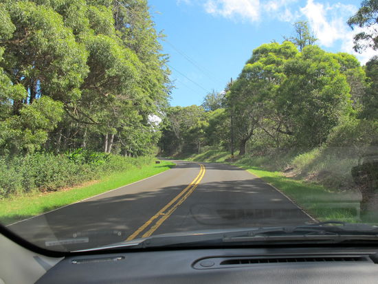 Und meistens sehr grün