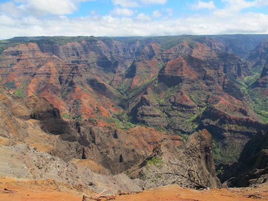 Um Einiges grüner als der große Bruder