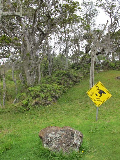 Am Kalalau Lookout