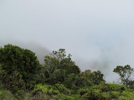 Wie man sieht, sieht man nichts