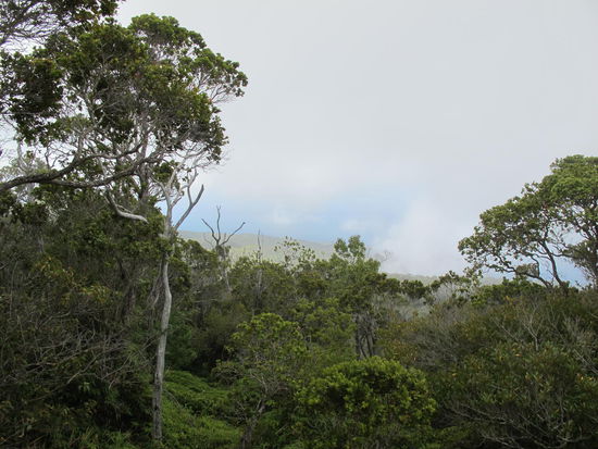 Zumindest ein bißchen Ozean sieht man