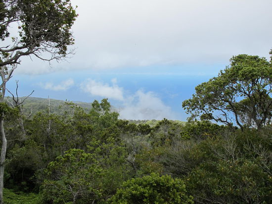 Die Sicht war weng besser