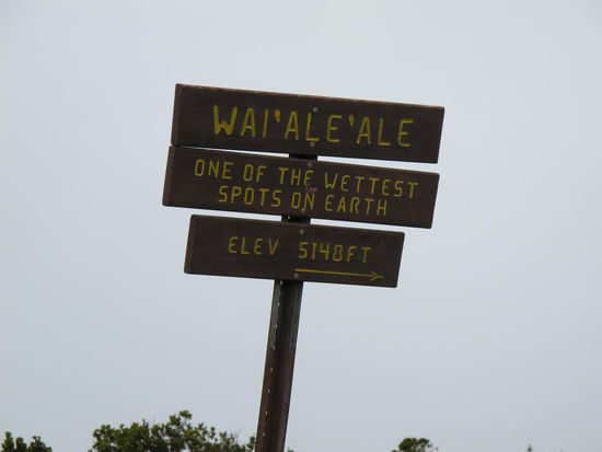 Drum wars hier so feucht 