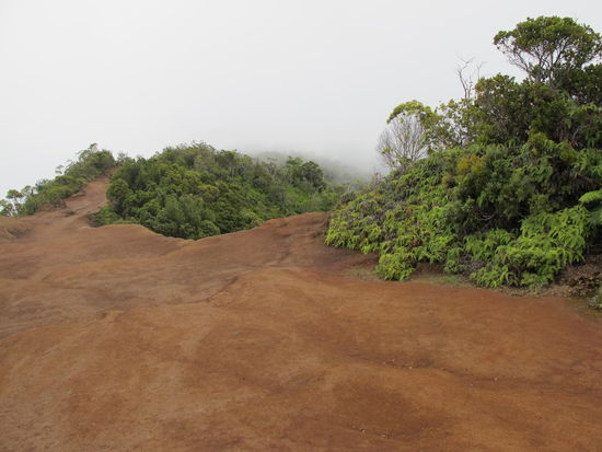 Der Trail entlang des Bergkamms