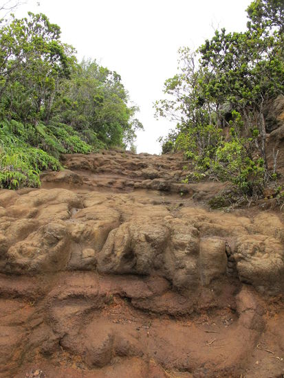 Der Trail wieder aufwärts zum Pu'u o Kila Lookout