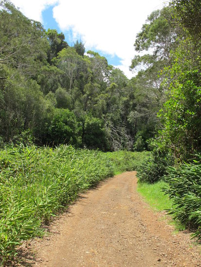 Ewig kein Mensch zu sehen