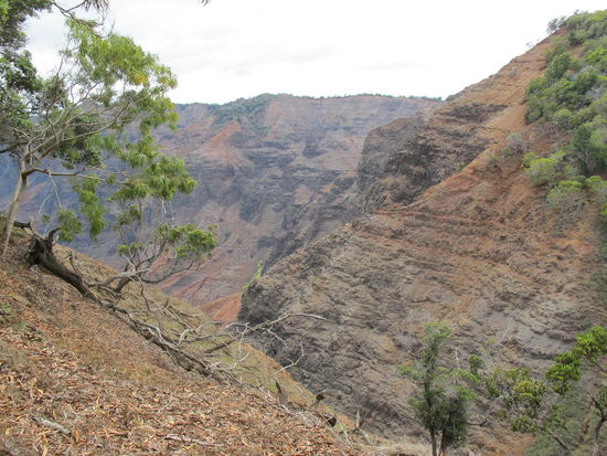 Am Ende des Cliff Trails
