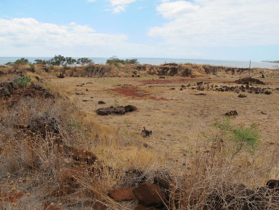 Fort Ruinen mit Ozean