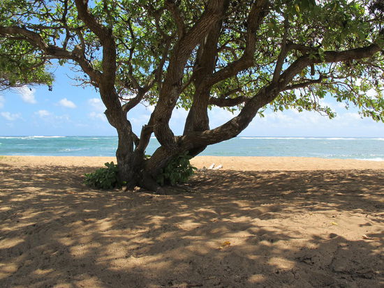 Im Schatten war es auszuhalten