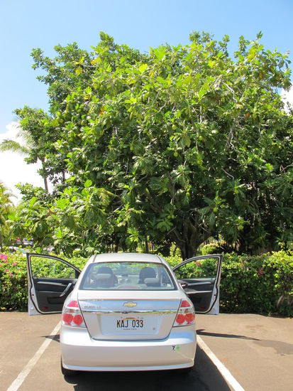 Kurz warten, sonst hätte man es net ausgehalten