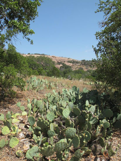 An denen erkennt man auch, daß es dort warm sein muß