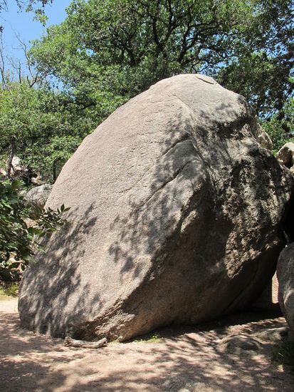 Der war ca. 4-mal so groß wie ich