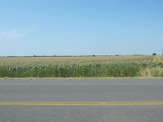 Riesen Maisfelder am Highway 80