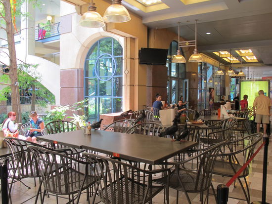 Da haben sie bei Hooters net sofort den Tisch geräumt und die Tauben kommen 