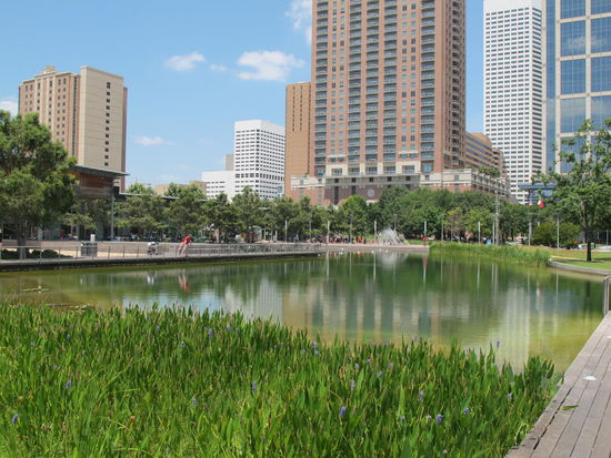 Kleiner See im Discovery Green