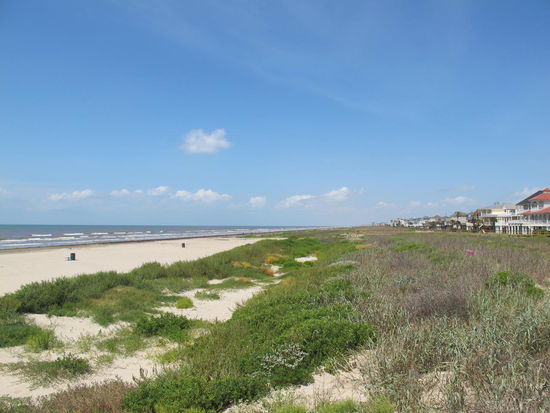 Diesen Strandabschnitt neben dem State Park fand ich schöner als den vom Park selbst
