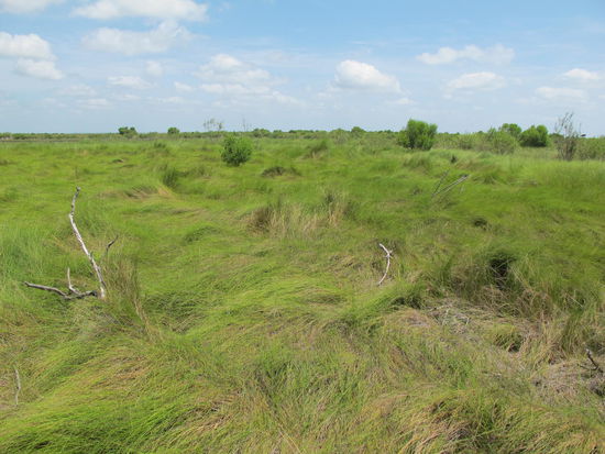 Während des Rundwegs