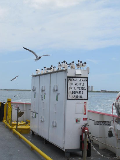 Die Begleiter, hatte dauernd Schiss  wieder angeschissen zu werden 