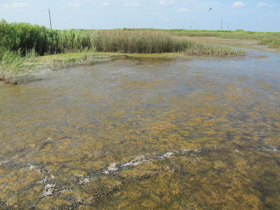 Da wäre ich auch ohne die Warnung net reingegangen