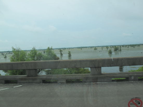 Hier kann man das Sumpfgebiet scho neben der Interstate sehen