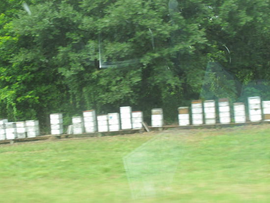 Des war ab und zu neben der Straße, keine Ahnung was da drin ist