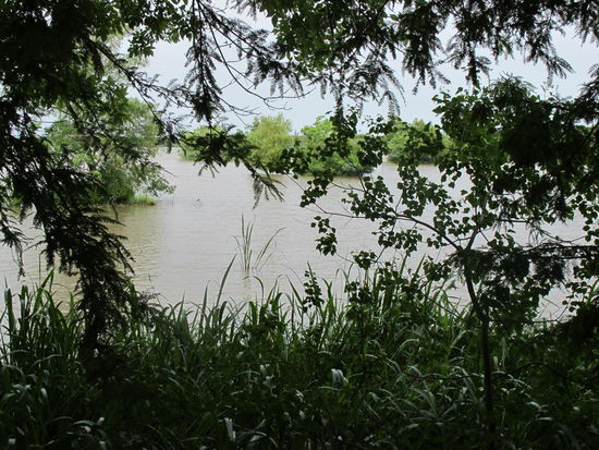 Für diese "Aussicht" mußte ich mich bücken am Scenic Overlook