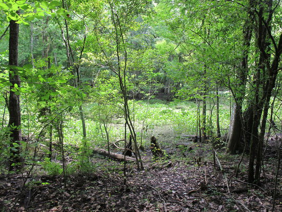 Auf dem blauen Trail