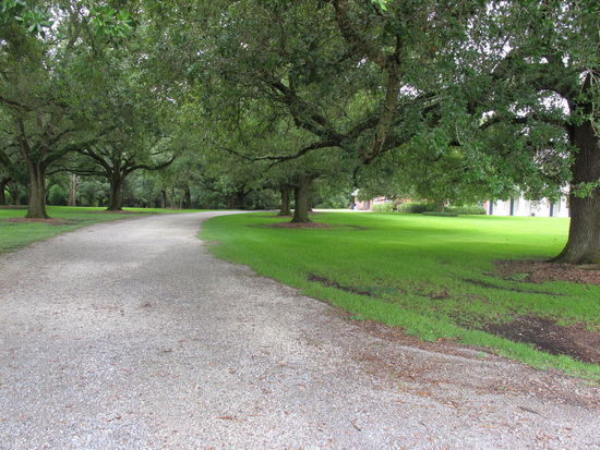 Und die Auffahrt zum Haus