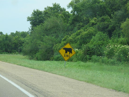 Bären gibt's hier auch...