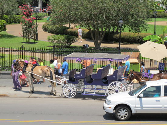 Eine der Kutschen am Jackson Square