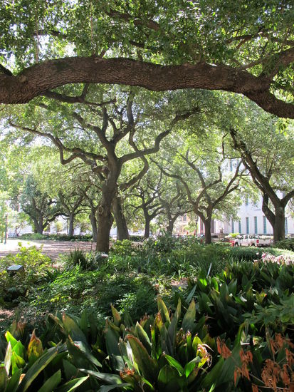 Lafayette Park