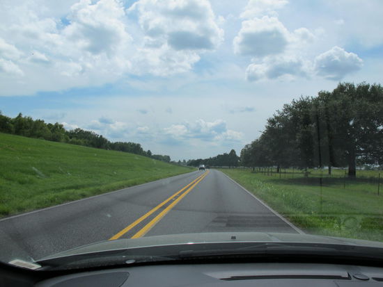 Links der Damm, dahinter der Mississippi