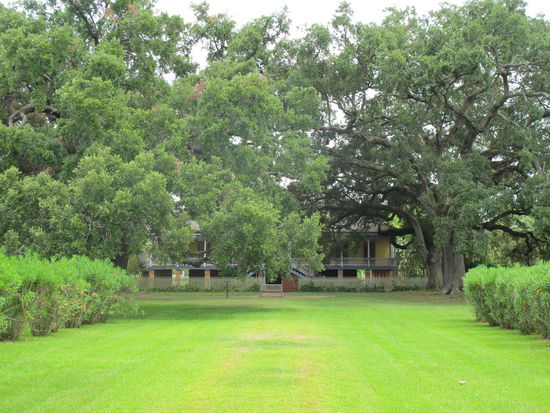 Laura Plantation, ziemlich zugewachsen