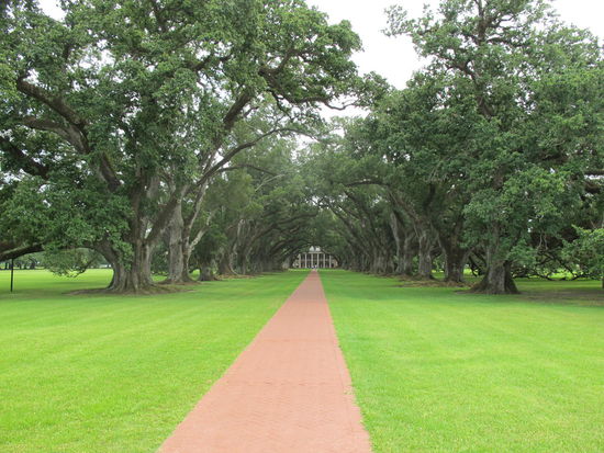 Die Auffahrt zum Haupthaus der Oak Alley Plantation