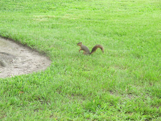Mein Nachbar, bei einer kurzen Pause neben der Plantage