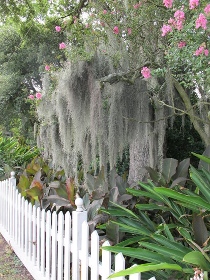 Im Garten von Houmas House