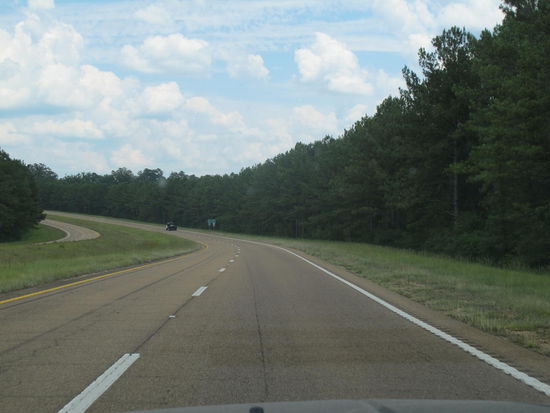 Der Wald war wie eine Wand links und rechts