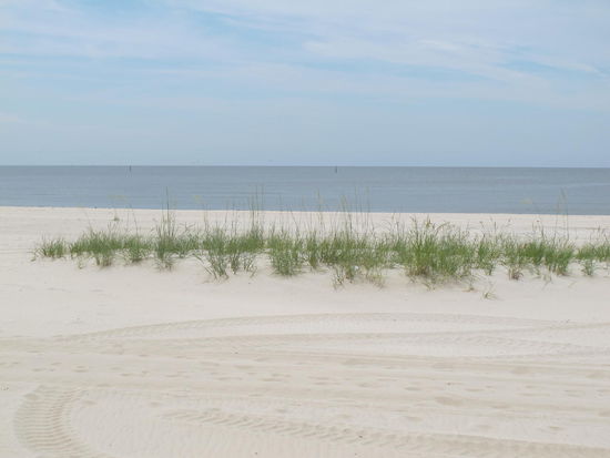 Mit Sonne häts besser ausgesehen