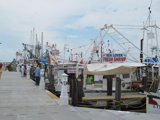 Hier wurden auf ein paar Schiffen frische Shrimps verkauft