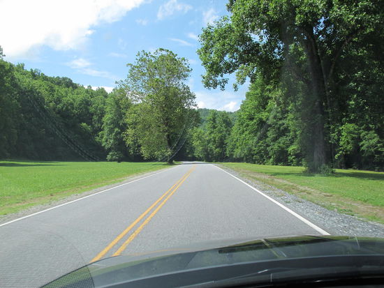 Sonnig und grün, wunderbar