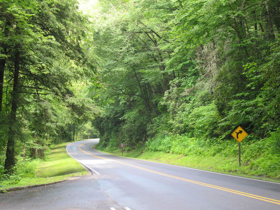 Langsam geht's bergauf