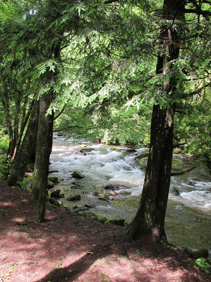 Und auch hier ist immer ein Flüßchen zu finden