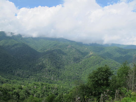 Great Smokey Mountains