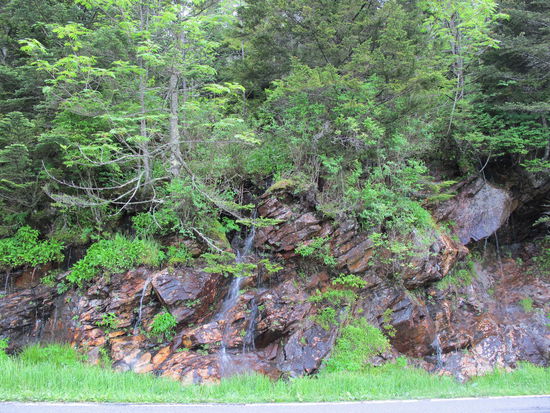 Die Nachwirkungen des Regens