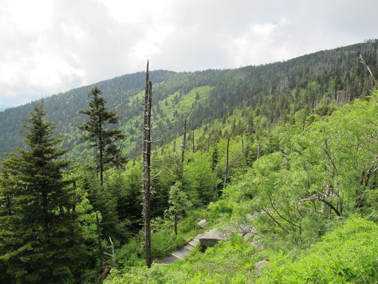 Auf dem Weg zum Gipfel des Clingmanns Dome