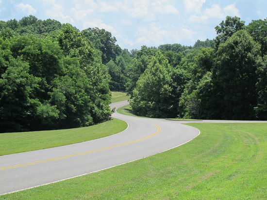 Das Gras war hier noch frisch gemäht und es roch super