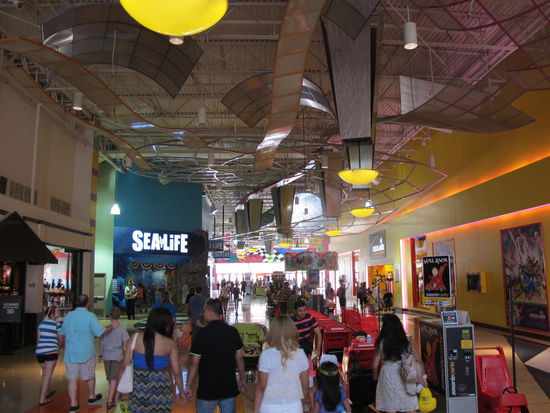 Es gibt auch ein Sealife (Leni) und ne Legoworld (Timon) 