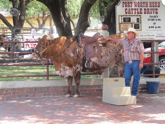 Da haben sich die Touris draufgesetzt und tolle Fotos machen lassen