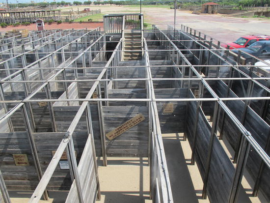 Hier besser zu sehen. Es waren auch ein paar drinnen, die neben mir auf dem Turm haben versucht sie zu lenken