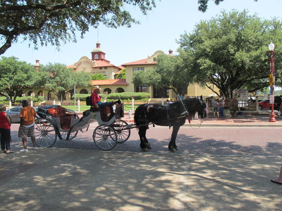 Er ist noch verschwunden bevor die Longhorns kamen